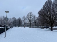 Belanda Membeku, 500 Penerbangan Batal-Perjalanan Kereta Ditunda