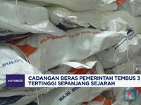 Video: Cadangan Beras Pemerintah Tembus 3 Juta Ton