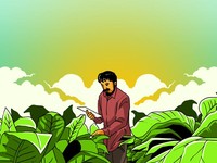 Komitmen Berkelanjutan Sampoerna: Dorong Pertumbuhan Ekonomi