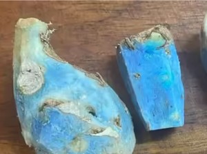 5 Bakery Jepang Hits di Jakarta hingga Fakta Kunyit Biru