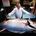 Raja Sushi Jepang Beli Ikan Tuna Raksasa Rp 54 Miliar dalam Lelang