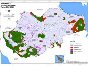 Hutan Jambi Turus Menyusut, Alih Fungsi Lahan-PETI Jadi Biang Kerok