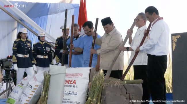 Bukan Sulap! Begini Jatuh Bangun RI Terbukti Bisa Swasembada Beras