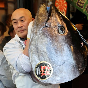 Raja Sushi Beli Tuna Raksasa Rp54 Miliar, Ternyata Begini Rasanya