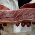 Seorang pengusaha restoran sushi berhasil membeli seekor tuna sirip biru raksasa di tempat lelang bergengsi di pasar ikan utama Tokyo, Senin (5/1/2026). (REUTERS/Kim Kyung-Hoon)