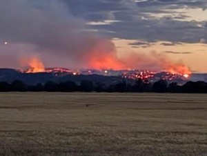 Dunia Hari Ini: Australia Bersiap Hadapi Kebakaran Hutan yang Mengerikan
