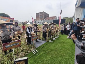 Forkopimda Jatim Gelar Panen Raya Jagung Kuartal IV 2025 di Sidoarjo