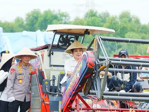 Kapolri-Ketua Komisi IV DPR Panen Raya Jagung Serentak di Bekasi, Komitmen Kawal Swasembada Pangan