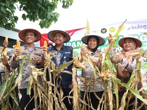 Kemitraan Polisi dan Poktan di Mojokerto Panen 1 Ton Jagung
