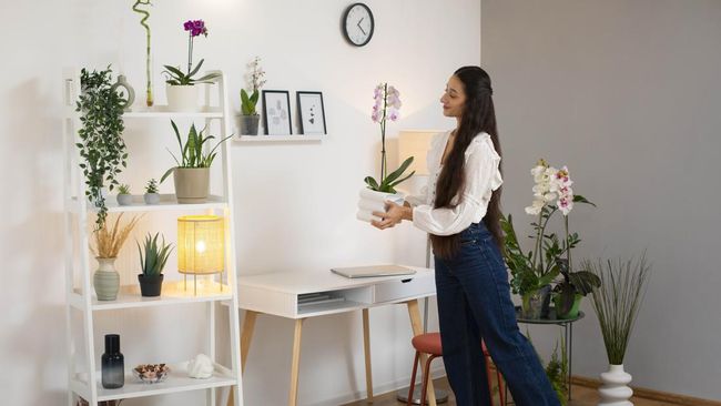 6 Cara Dekorasi Rumah Jadi Estetik Tanpa Biaya Besar