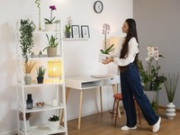 6 Cara Dekorasi Rumah Jadi Estetik Tanpa Biaya Besar