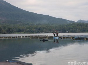 Pemkab Bangli Tunggu Instruksi soal Penertiban Keramba Apung di Danau Batur