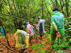 Cerita Warga Tangkap Ikan Pemakan Mayat Tanpa Kepala di Ciracap