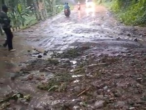 Tanah Longsor-Pohon Tumbang Saat Hujan Deras di Mojokerto