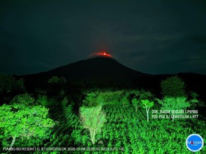 Gunung Ile Lewotolok Meletus 162 Kali Disertai Material Pijar Semalam