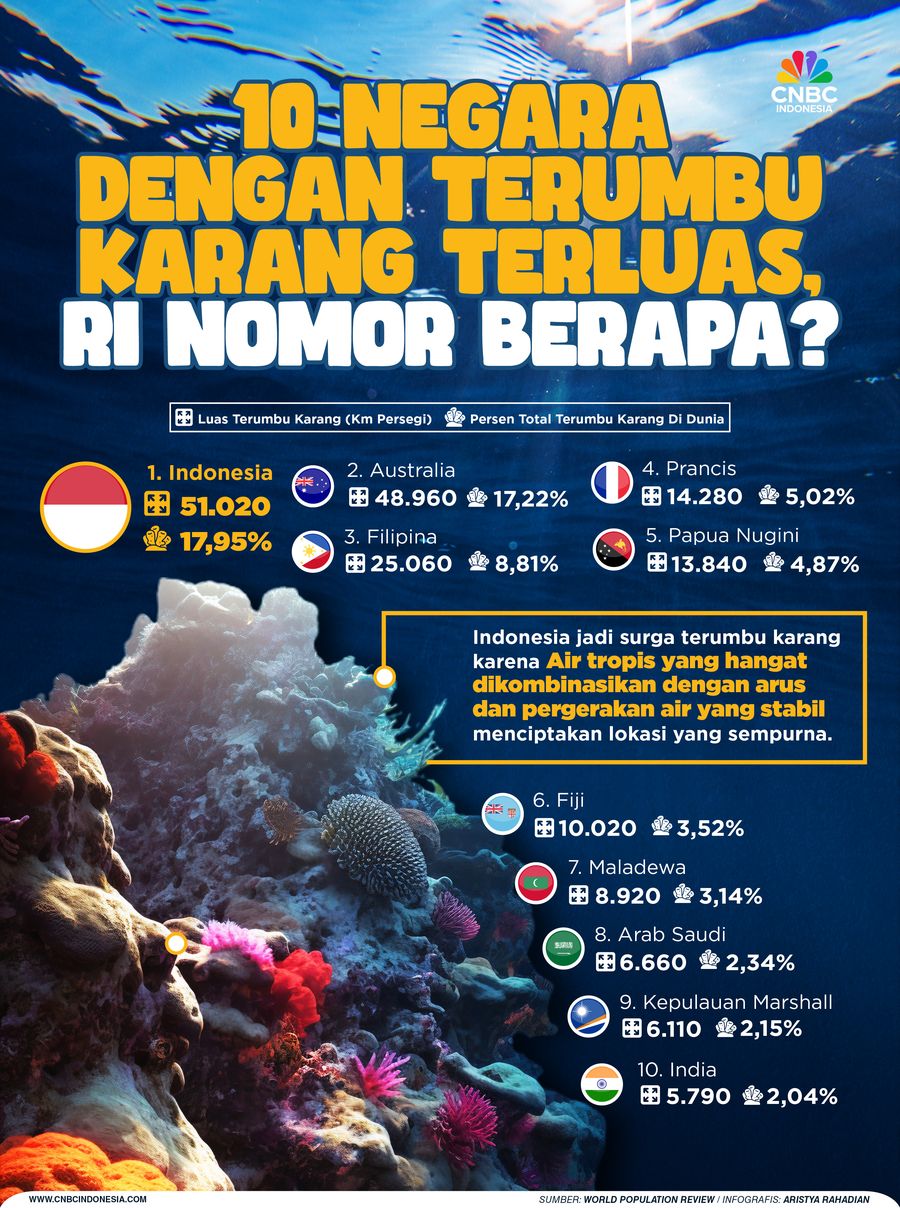 10 Negara Dengan Terumbu Karang Terluas, RI Nomor Berapa?
