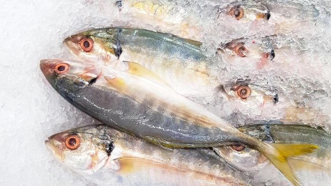Ikan Ini Dicap Terbaik Bagi Kesehatan, Berlimpah di RI-Cek Manfaatnya