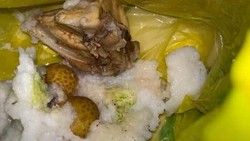  Video: Kronologi MBG di Pandeglang Berwadah Kantong Plastik