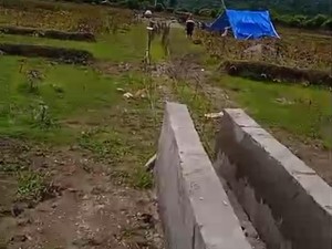 Proyek Irigasi Belum Rampung, 300 Petani Amfoang Kupang Terancam Gagal Tanam
