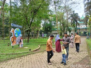 Pengunjung Medan Zoo: Koleksi Hewan Semakin Sedikit