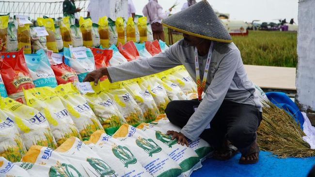 Bulog Siap Distribusikan Beras Premium untuk MBG Hingga Pasukan TNI