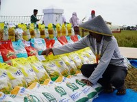 Bulog Siap Distribusikan Beras Premium untuk MBG Hingga Pasukan TNI