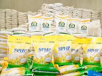 Berlaku Februari 2026! Warga RI Bisa Beli Beras SPHP 5 Pack/Orang