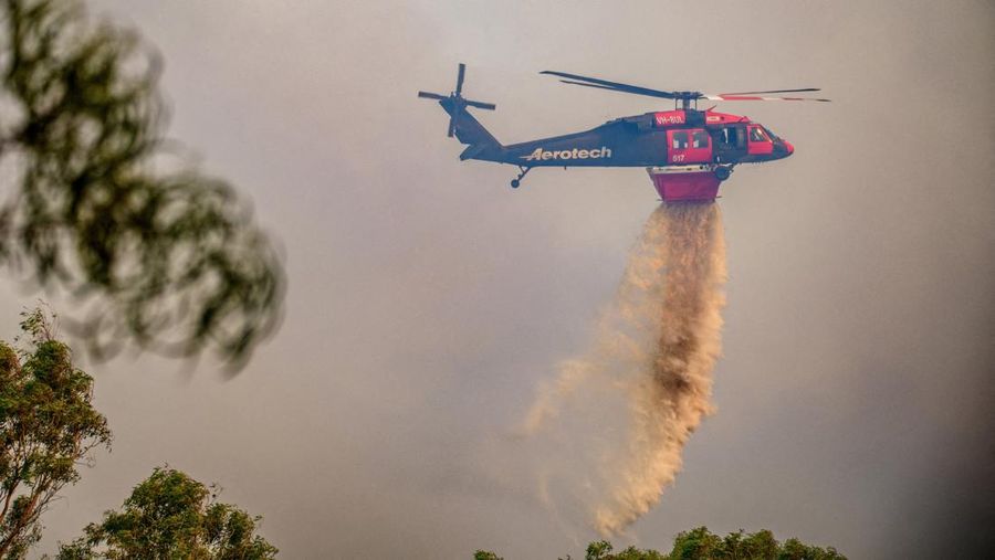 Sejumlah besar domba mati hangus tergeletak di padang rumput setelah mencoba melarikan diri ke gorong-gorong selama kebakaran di Ruffy, Victoria, Australia, 10 Januari 2026. (AAP/Michael Currie via REUTERS)