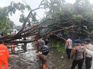 Banjir dan Pohon Tumbang di Priok, Brimob Polda Metro Turun Tangan