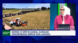 Video: DPR Kawal Capaian Swasembada Beras, Pastikan Petani Diuntungkan