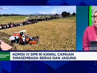Video: DPR Kawal Capaian Swasembada Beras, Pastikan Petani Diuntungkan
