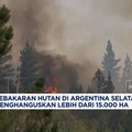 Video: Kebakaran Hutan di Argentina Hanguskan Lebih Dari 15.000 Ha