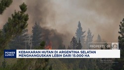 Video: Kebakaran Hutan di Argentina Hanguskan Lebih Dari 15.000 Ha