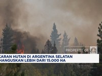 Video: Kebakaran Hutan di Argentina Hanguskan Lebih Dari 15.000 Ha