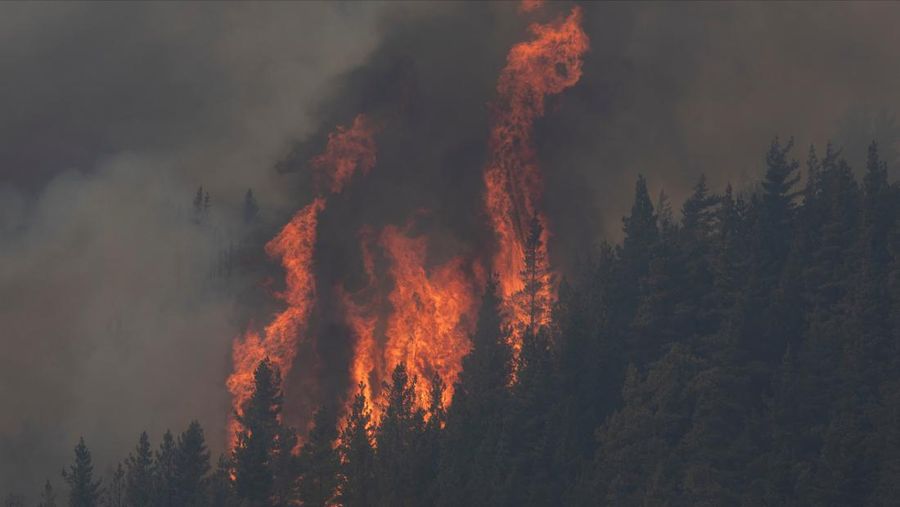 Kebakaran hutan meluas di Patagonia, Argentina. (REUTERS/Matias Garay)
