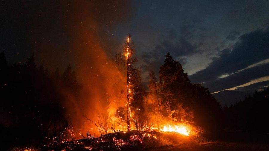 Kebakaran hutan meluas di Patagonia, Argentina. (REUTERS/Matias Garay)