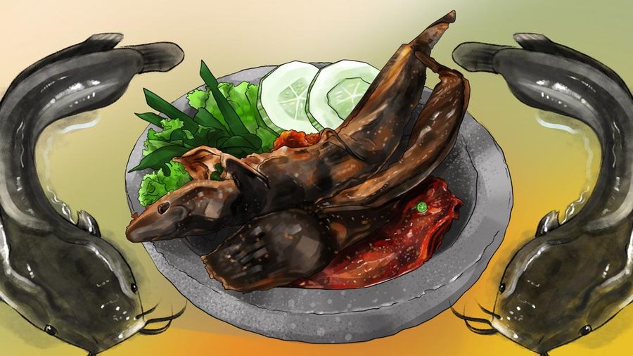 Lele, Ikan Favorit Warga RI yang Ternyata Menyerap Banyak Racun