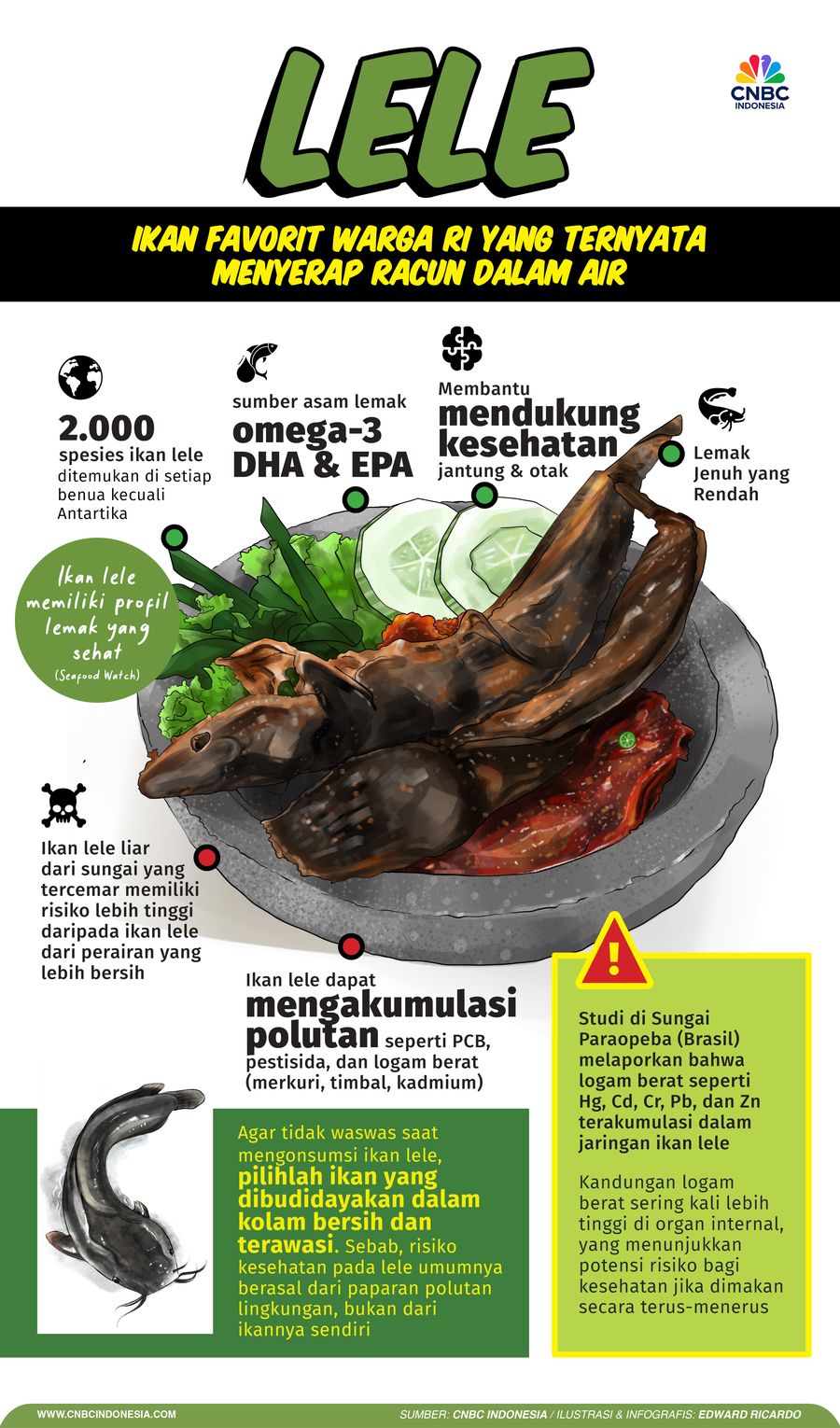 Lele, Ikan Favorit Warga RI yang Ternyata Menyerap Banyak Racun