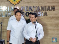 Mentan Amran Cs Patok Stok Beras Pemerintah Ditumpuk Sampai 4 Juta Ton