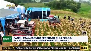 Video: Panen Raya Jagung Serentak, Polri Umumkan RI Swasembada