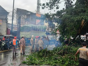 Hujan dan Angin Kencang, Pohon Tumbang di Ciputat Tangsel Timpa Mobil