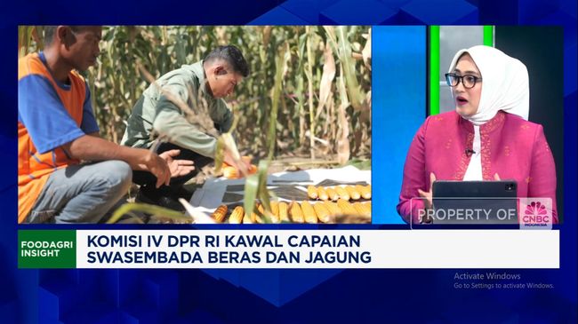 Video: Sudah Swasembada dan RI Siap Ekspor Beras, DPR Ungkap Syaratnya!