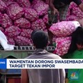 Video: Wamentan Dorong Swasembada Bawang Putih, Target Tekan Impor