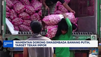 Video: Wamentan Dorong Swasembada Bawang Putih, Target Tekan Impor