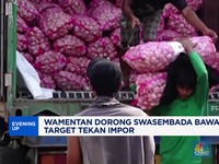 Video: Wamentan Dorong Swasembada Bawang Putih, Target Tekan Impor