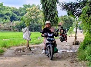 Janji Pemkab Ponorogo Soal Jalan Rusak yang Ditanami Warga Pohon