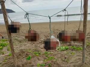 Teror di Pantai Puerto Lopez: Lima Kepala Manusia Ditemukan Tergantung