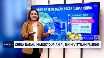 Video: China Bakal Mabuk Durian RI, Bikin Vietnam Pusing
