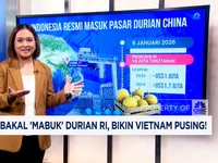 Video: China Bakal Mabuk Durian RI, Bikin Vietnam Pusing