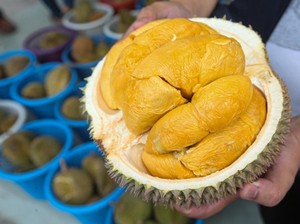 Bikin China Kesengsem, Durian Musang King Disetarakan dengan Tas Hermes